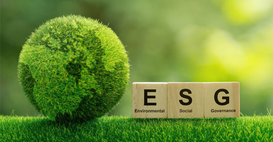 ESG Audit